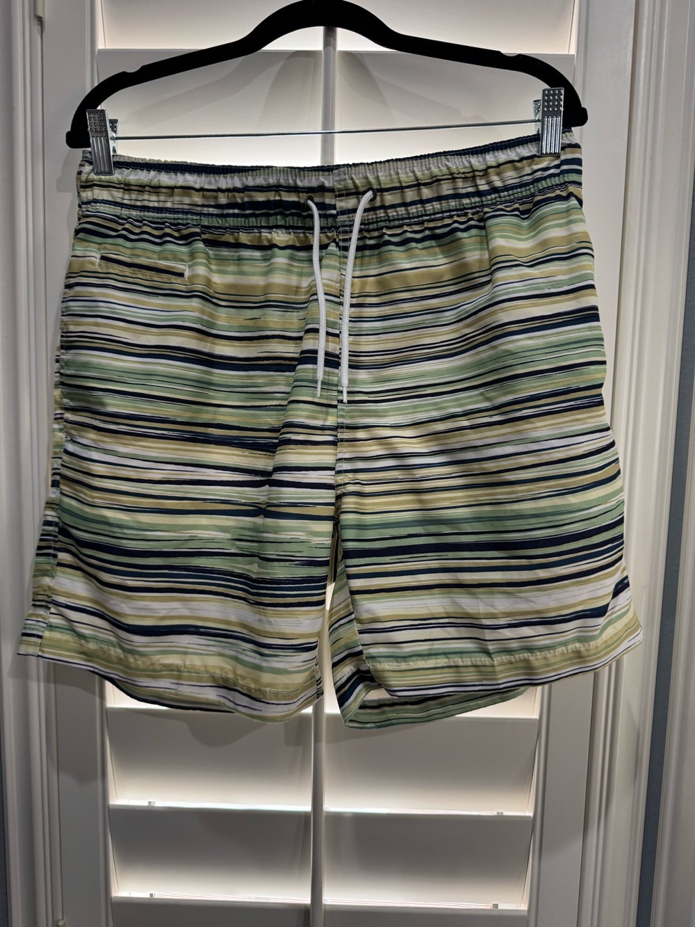 NWOT Never worn Men's Striped Swim Trunks - Green/Blue